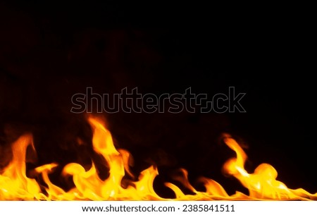 fire flame on dark background.Beautiful yellow, orange blaze fire flame texture style.