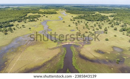 Aerial view of typical Pantanal Wetlands landscape with lagoons, rivers, meadows and forests, Mato G