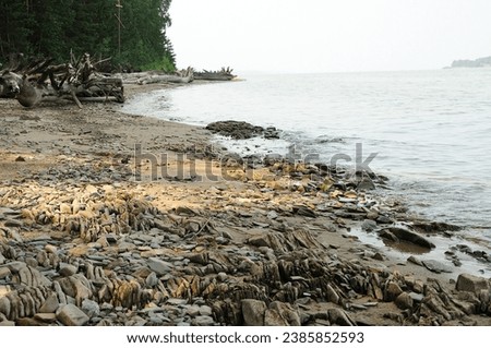 Dense forest and fallen trees on the rocky-sandy shore of a large lake under a cloudy sky on a summer morning. Novosibirsk reservoir, Siberia, Russia.