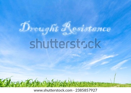 Drought Resistance: Traits that enable plants to withstand prolonged periods of low water availability. Royalty-Free Stock Photo #2385857927