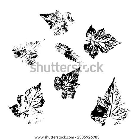set of abstract leaf print illustration background pattern template