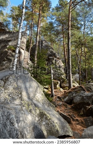 Giant stones in the middle of the Carpathian forest. Beautiful stone rocks.