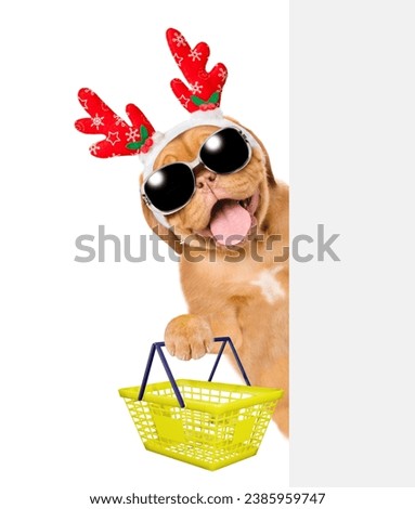Happy Mastiff puppy dressed like santa claus reindeer  Rudolf looking from behind empty white banner and holds shopping basket. Isolated on white background.