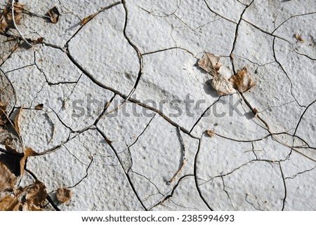 Desertification and drought. Cracked land and leaves. Wasteland surface natural background.