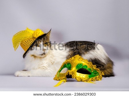 wicked cat in a yellow carnival hat with sequins bow and a feather next to a mask and Christmas balls Royalty-Free Stock Photo #2386029303