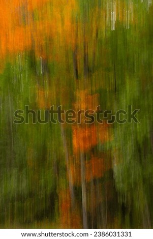 abstract motion blur of fall colorful leaves on tree intentionally blurred by slow shutter speed  intentional camera movement up and down movement creating falling motion orange  green autumn foliage 