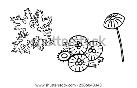 Set of black and white line art illustration with forest mushrooms, moss. Black outline. Isolated objects on a white background.