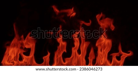 Picture of black background lights.Fire flames on black background