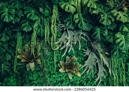 Group of background tropical green leaves texture. Natural green wallpaper and background. Green of Nature wallpaper.	