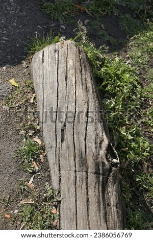 a wooden log at the edge of the lawn