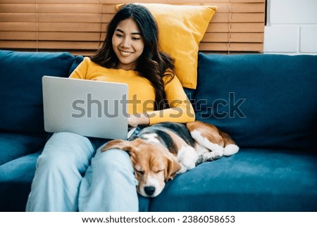 Enjoying remote work with a furry colleague, young woman sits on the sofa with her laptop, while her Beagle dog takes a peaceful nap. Their friendly partnership enhances the home office. Friendly Dog.