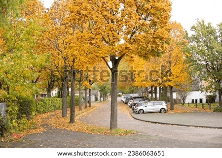 City street with autumn yellow, orange and red trees.  Royalty-Free Stock Photo #2386063651