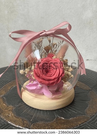 Pink Rose Dried Flower Glass Dome Royalty-Free Stock Photo #2386066303