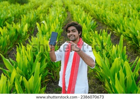 Indian farmer showing smart phone screen at green turmeric agriculture field.