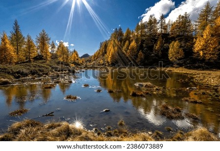 Bright autumn sun over a mountain lake. Autumn lake view. Lake in autumn forest. Autumn forest lake in sunny day