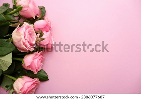Beautiful pink roses on pink background. Love, Rose day , Mother's day and Valentine day floral background.