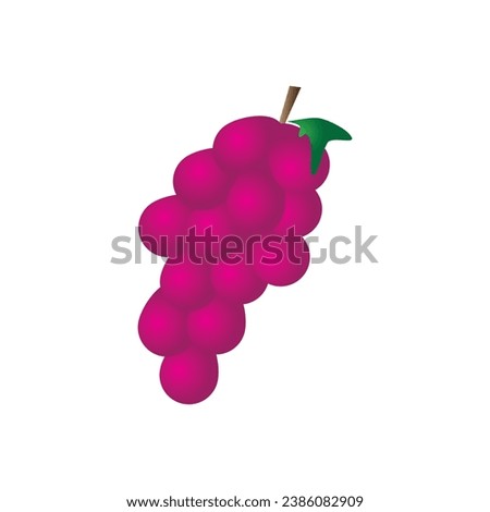 Fresh purple grape clip art is suitable for fruit advertisements and lessons for children template vector eps 10