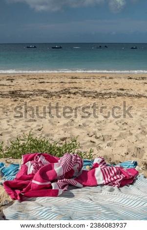 vertical picture of a beach in Brittany