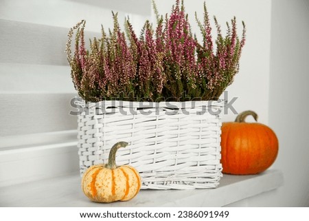 Beautiful heather flowers in basket and pumpkins on windowsill indoors