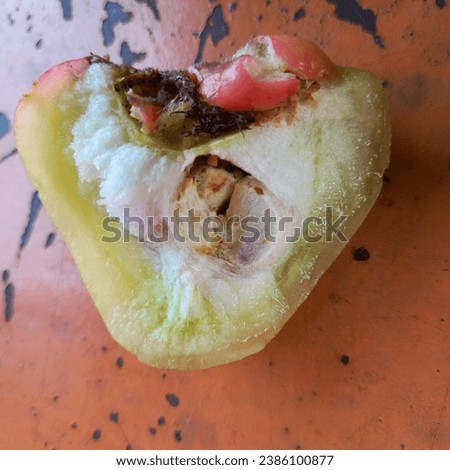 Fresh water guava cut in half