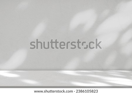 Studio Background White Wall with Shadow leaves,light on floor,Empty Exterior Concrete with sunlight reflection texture, White Paint on Wall Cement with Rough Sureface,Backdrop for Product Present