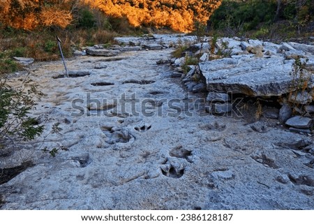 Fossilized dinosaur tracks in the dry Paluxy Riverbed at Dinosaur Valley State Park in Glen Rose, Texas Royalty-Free Stock Photo #2386128187