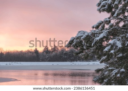 winter background landscape, fresh snow, holiday season