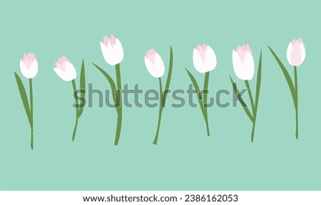 Tulip flower vector illustration. Pink tulip vector. Spring flower. Floral clip art. Nature concept. Flowers and plants. Flat vector in cartoon style isolated on white background.