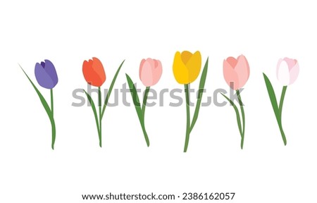 Tulip flower vector illustration. Colorful tulip vector. Spring flower. Floral clip art. Nature concept. Flowers and plants. Flat vector in cartoon style isolated on white background.
