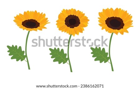 Sunflower vector illustration. Summer flower. Floral clip art. Nature concept. Flowers and plants. Flat vector in cartoon style isolated on white background.
