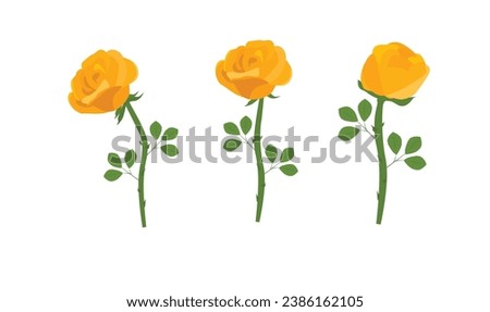 Rose flower vector illustration.  Yellow rose vector. Love flower. Floral clip art. Nature concept. Flowers and plants. Flat vector in cartoon style isolated on white background.