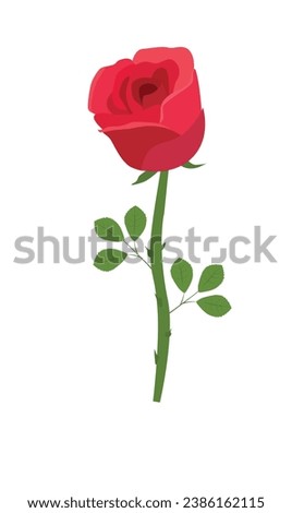 Rose flower vector illustration.  Red rose vector. Love flower. Floral clip art. Nature concept. Flowers and plants. Flat vector in cartoon style isolated on white background.