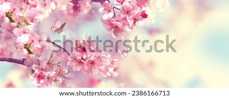 Branches of blossoming cherry against background of blue sky and fluttering butterflies in spring on nature outdoors. Pink sakura flowers, dreamy romantic artistic image of spring nature. Royalty-Free Stock Photo #2386166713