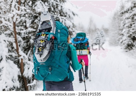 winter activity. Two women walking in snowshoes in the snow, winter hiking, two people in the mountains in winter, hiking equipment Royalty-Free Stock Photo #2386191535
