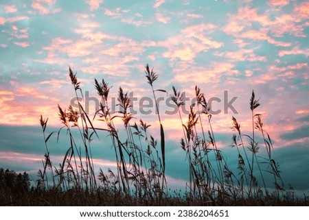 Beautiful sunset sky picture in Finland