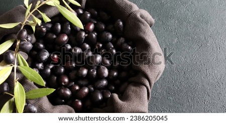 Close-up of black olives and olive branch on gray background. Fresh olives. Healthy food. Overhead view. Copy space.