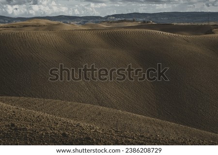 Harvested Fields and meadows landscape in Tuscany, Italy. Wavy country scenery at autumn sunset. Arable land ready for the agricultural season.