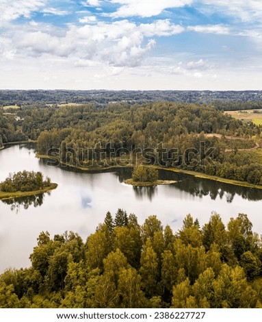 Summer at Zirga   lake (Latgale). Latvian nature.