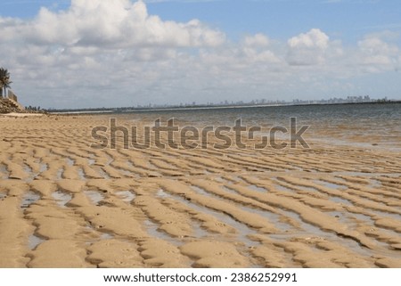Landscape view of the beach in Alagoas, Brazil Royalty-Free Stock Photo #2386252991