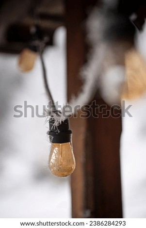 Lighbuld covered with frost in the countryhouse Royalty-Free Stock Photo #2386284293