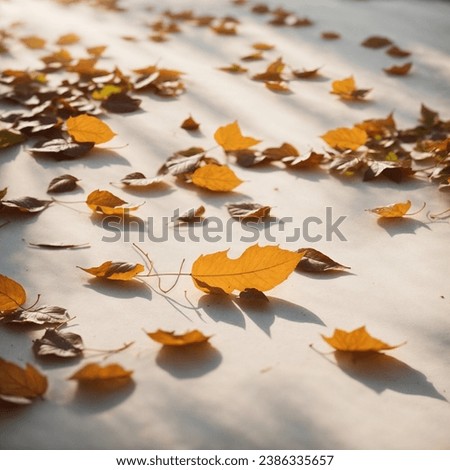 photo of a beautiful expanse of dry leaves