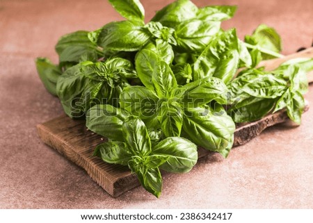 Fresh green sweet basil leaves, Also known as great basil or Genovese basil, Ocimum basilicum, a culinary herb in the mint family, and a tender plant, used in cuisines worldwide. Royalty-Free Stock Photo #2386342417