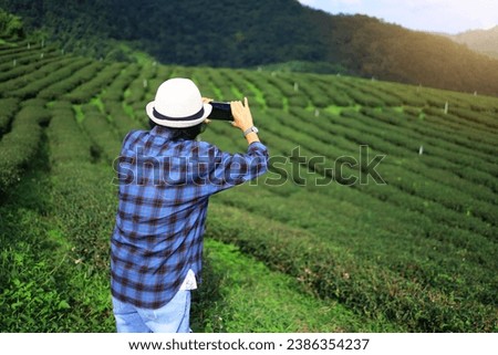 tourist take picture by smartphone on tea plantation field