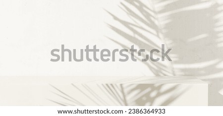 Blank minimal white counter podium, soft beautiful dappled sunlight, tropical palm foliage leaf shadow on wall for luxury hygiene organic cosmetic, skincare, beauty treatment product background 3D