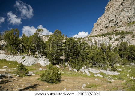 Custer Gallatin National Forest, Beartooth Mountains, Montana Royalty-Free Stock Photo #2386376023
