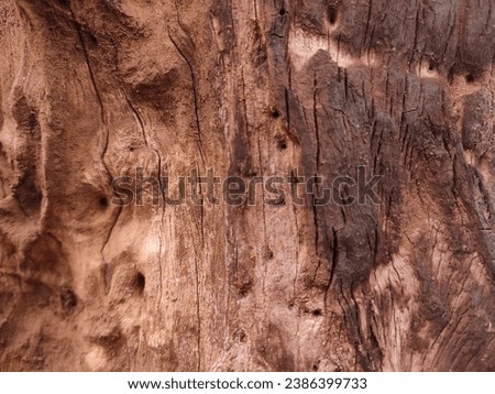 image of a half burned wood