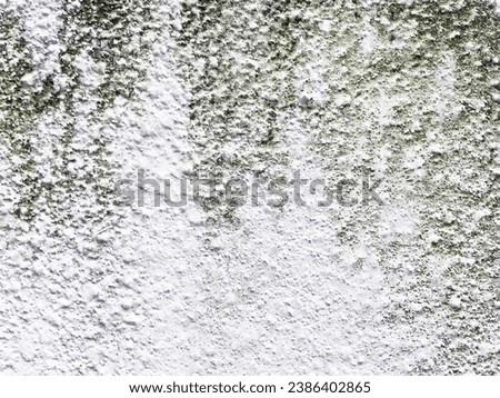Textured rough white wall or wallpaper with greeny dirty sticky moisture on it 