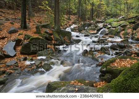 Ilsetal valley, river Ilse, Ilsenburg, Saxony-Anhalt, Germany Royalty-Free Stock Photo #2386409821