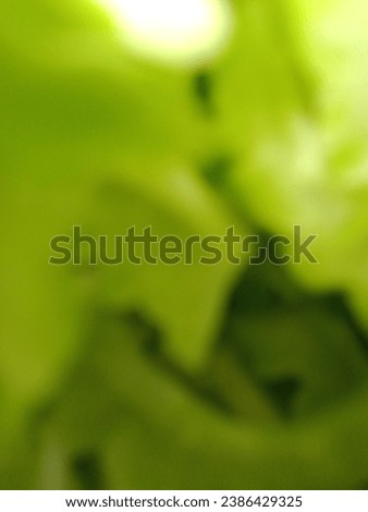 a Picture of blurred green background