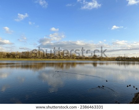 beautiful pond landscape in summer